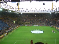 Brasilian fans.jpg